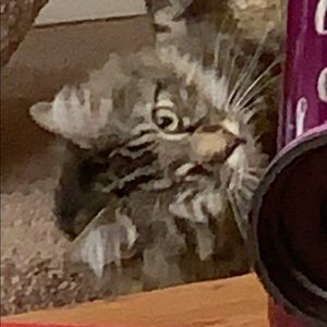 Meet your Posher, Natasha